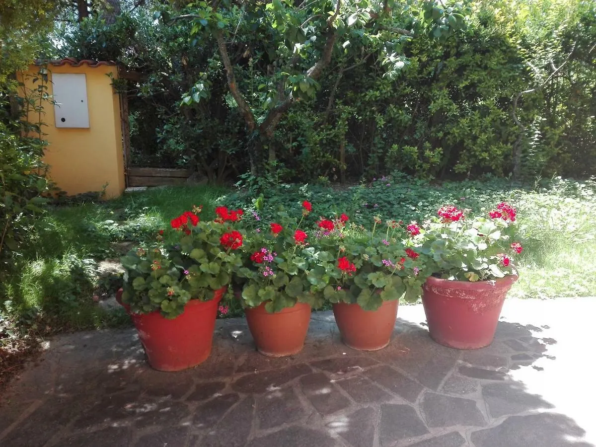 Appartamento Country Riccione